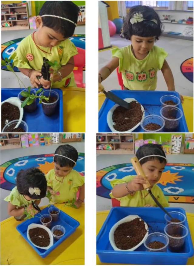 Green Day –Montessori — Photo 3