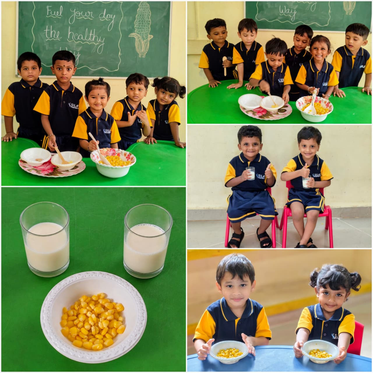 Project Nutrition-2026 — Photo 11