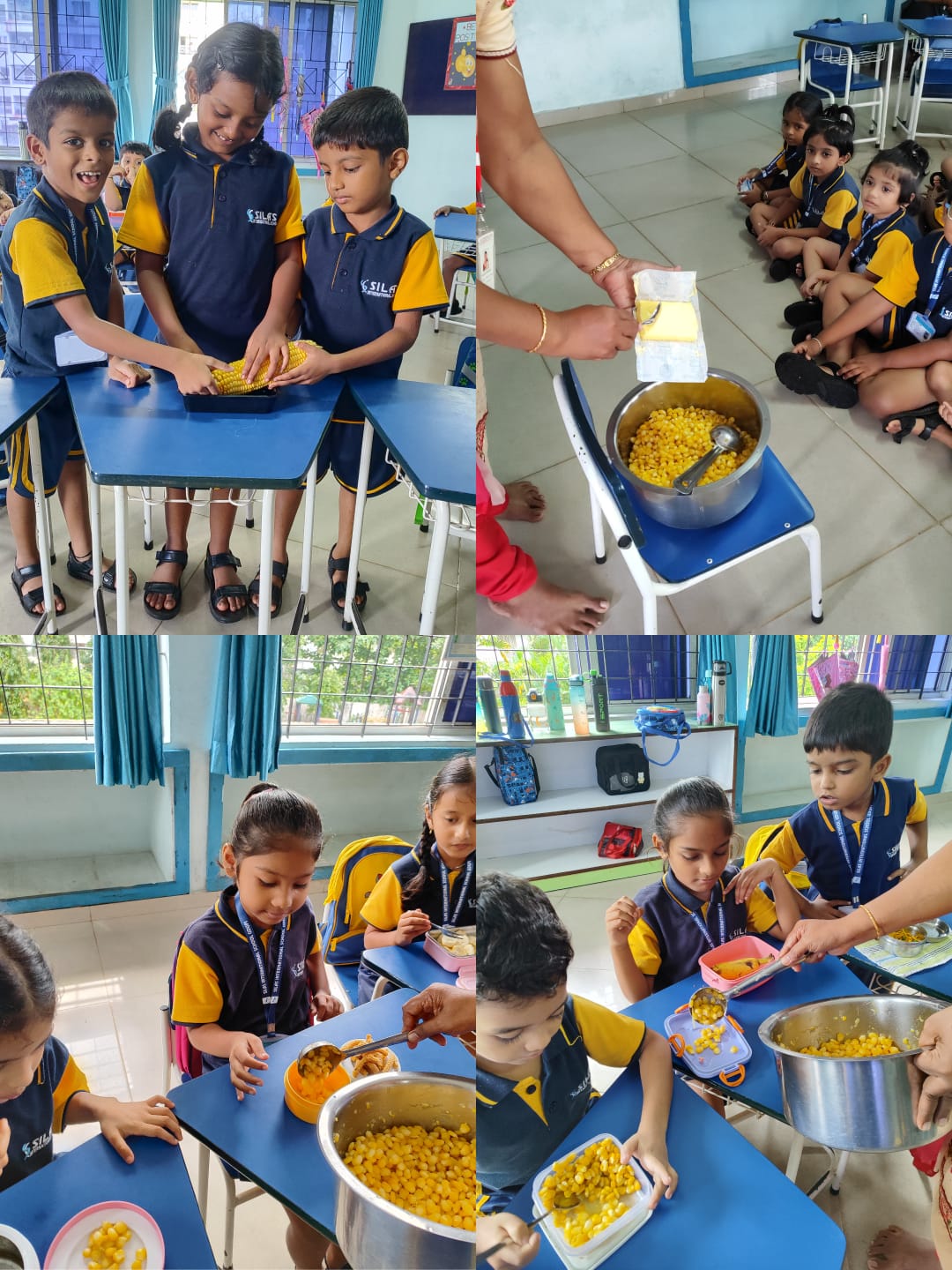 Project Nutrition-2026 — Photo 17